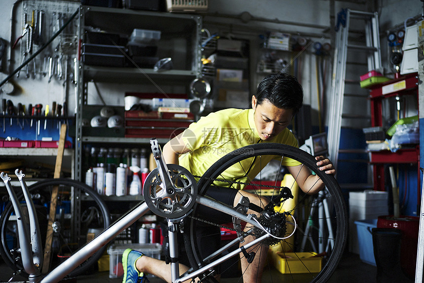  好大一“鸵”！鸵鸟来了广东也能被养成“走地鸡”