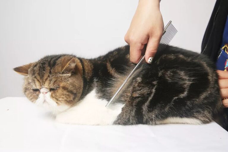  中国海警依法驱离日非法进入我钓鱼岛领海船只