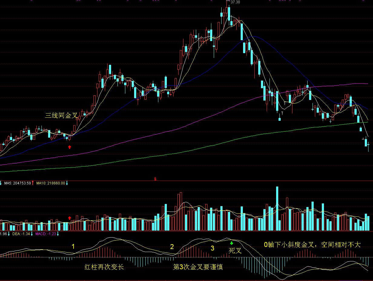 网络平台直播超19.2亿人次观看！抗战胜利80周年纪念大会海内外收视创新高