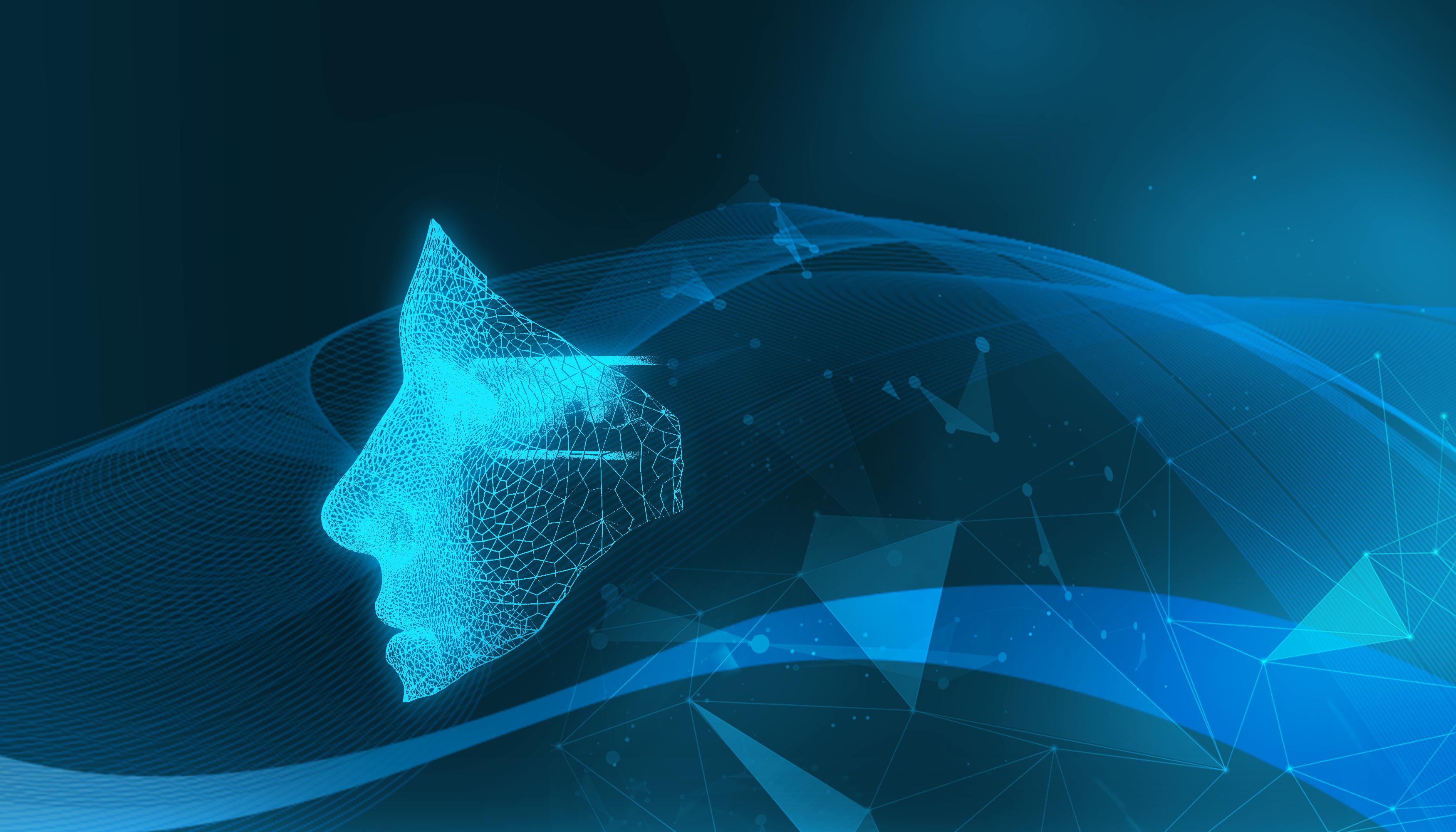  泰康人寿安徽分公司：投资者的眼泪，不该为无知而流