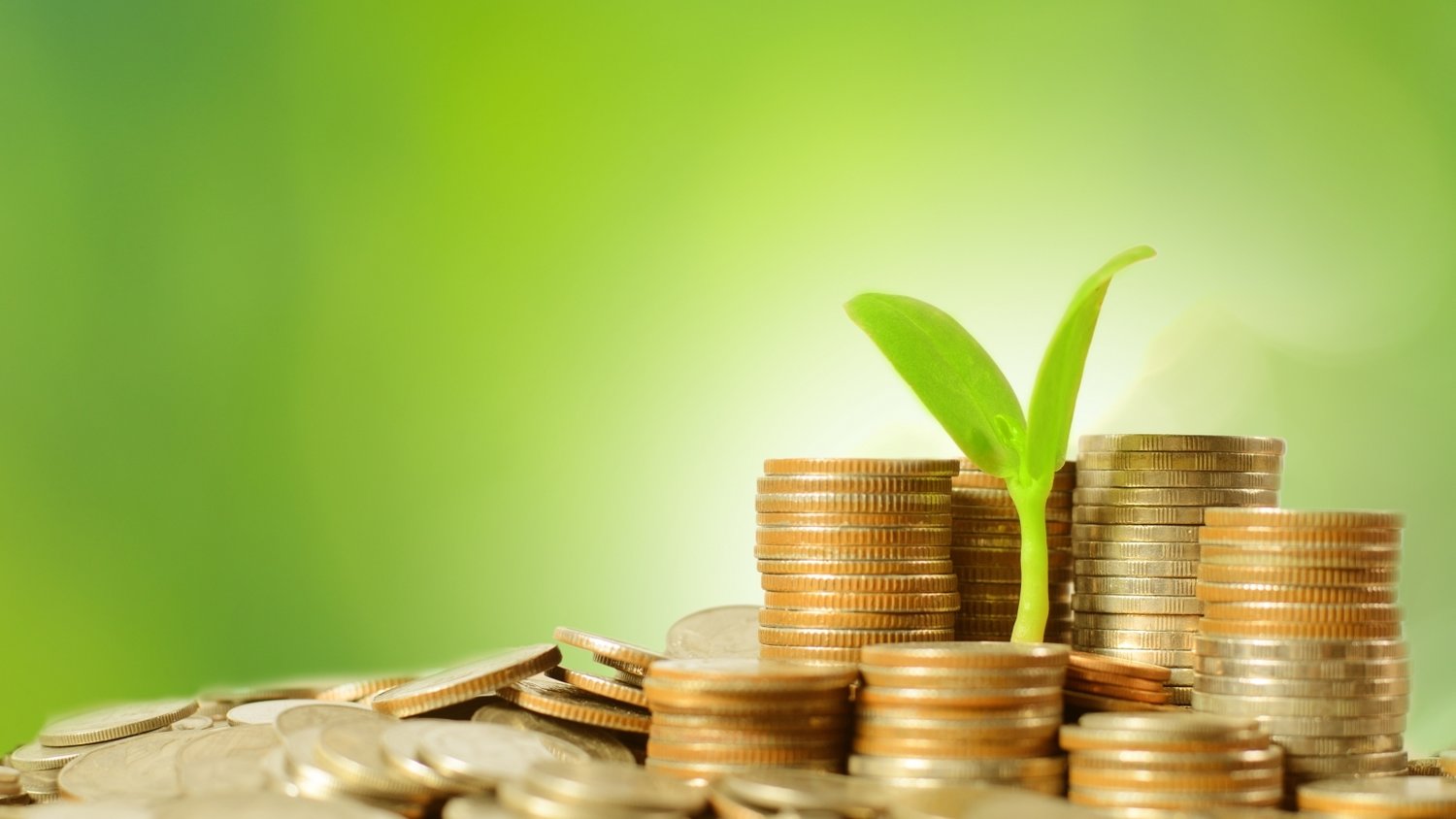  广式仪式感，广州市民茶楼观看阅兵直播