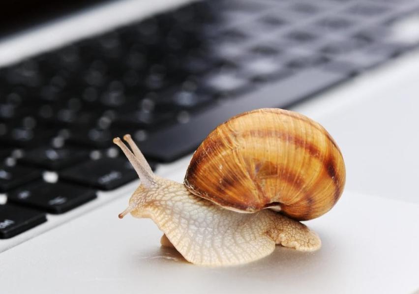  云南省市场监管局发布汤圆抽检结果及消费提示